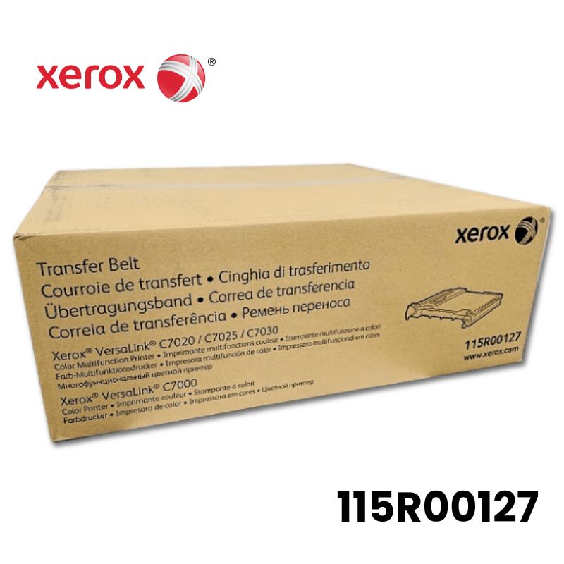 Banda De Transferencia Xerox 115R00127 VersaLink C7000 / C7020 / C7025 / C7030 Transfer Belt 200,000 Páginas